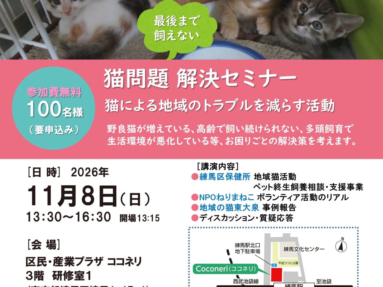 猫問題