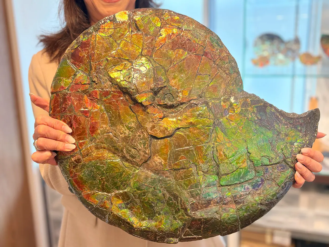 アンモライトミュージアム