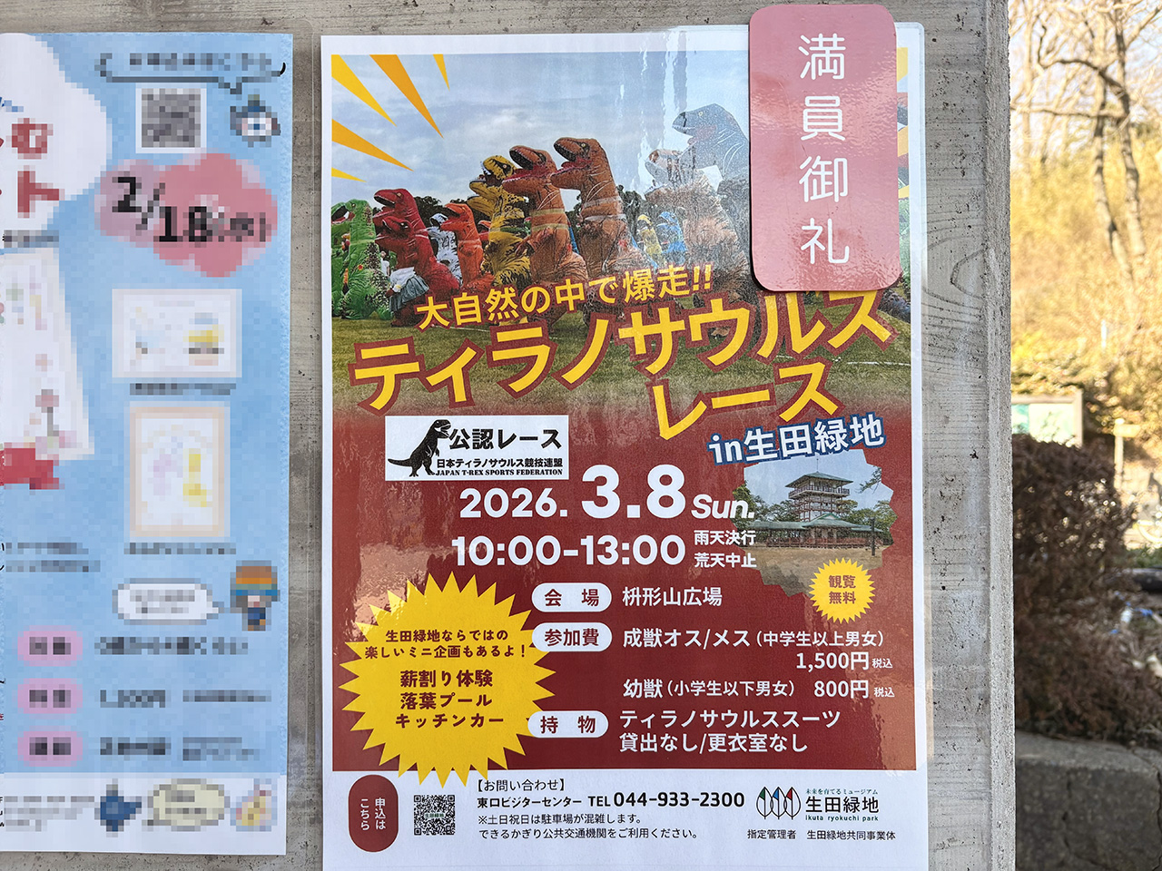 生田緑地のティラノサウルスレース