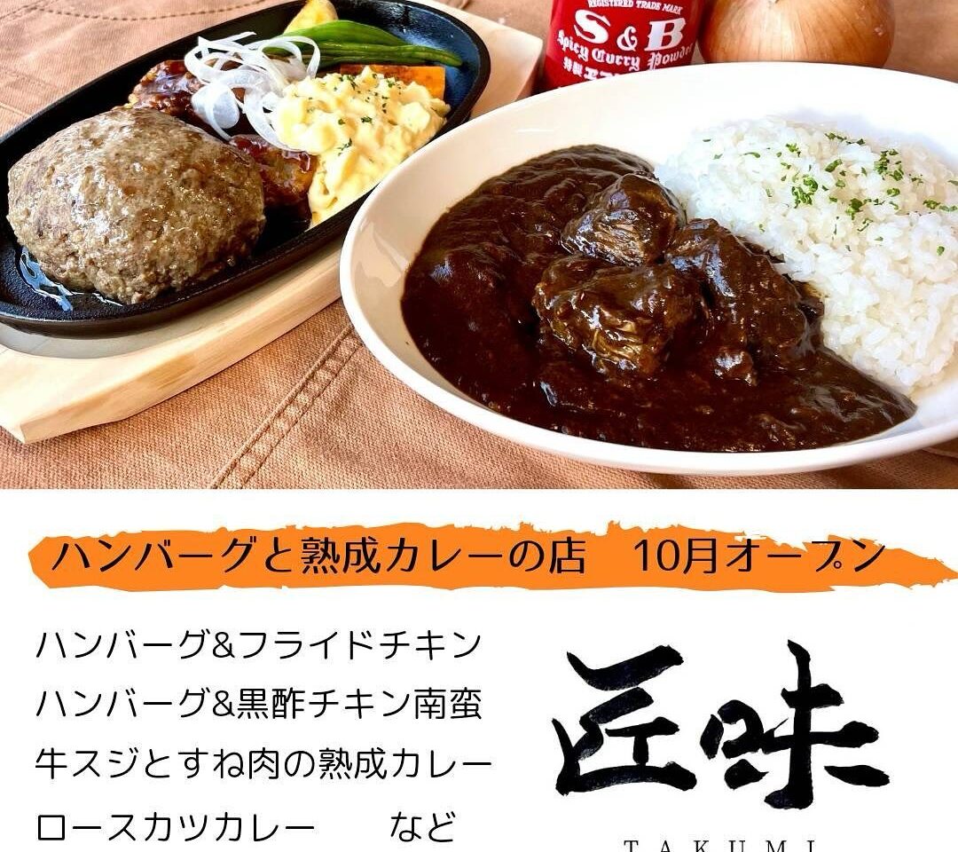 ハンバーグと熟成カレー 匠味