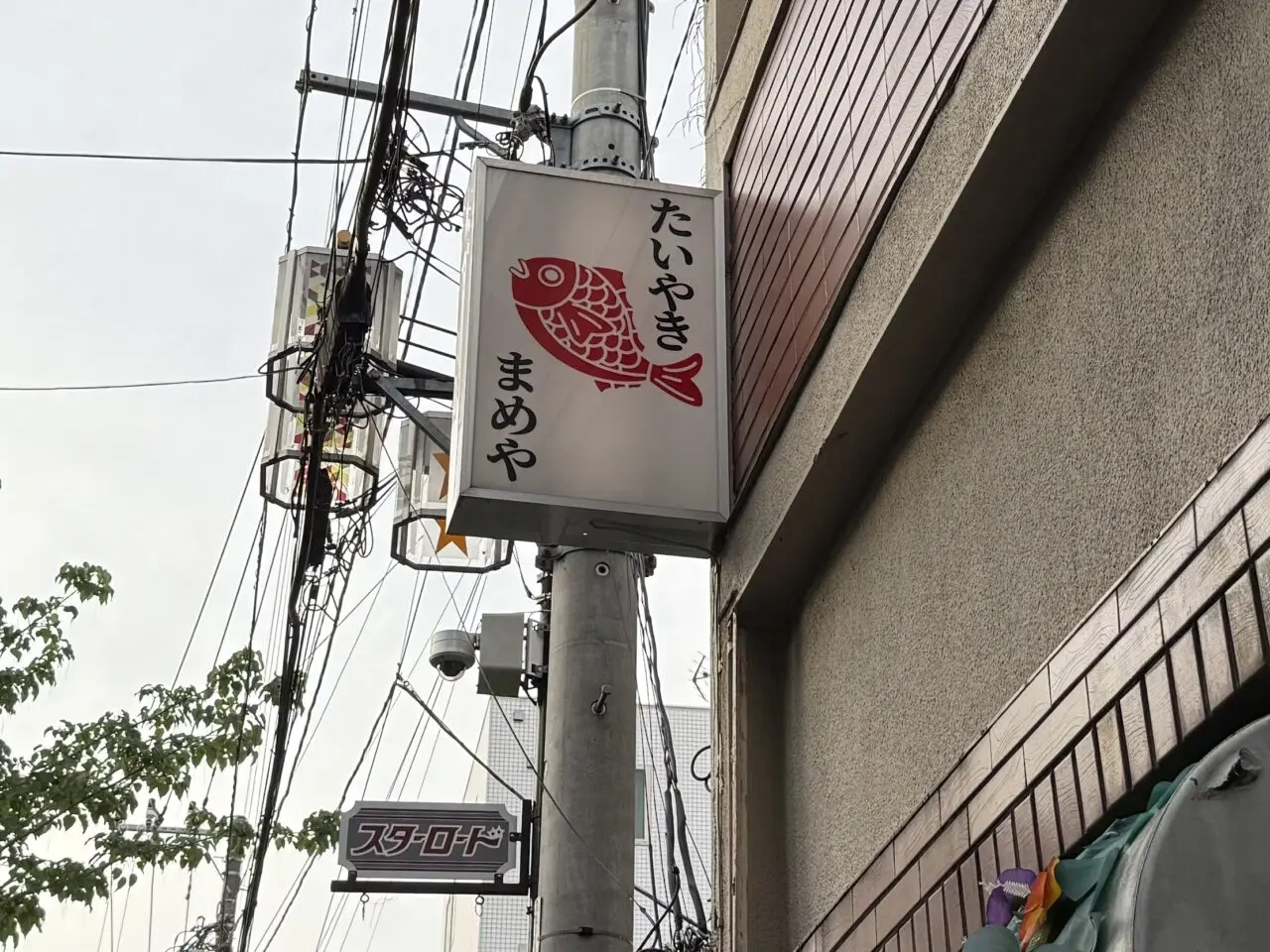 まめや
