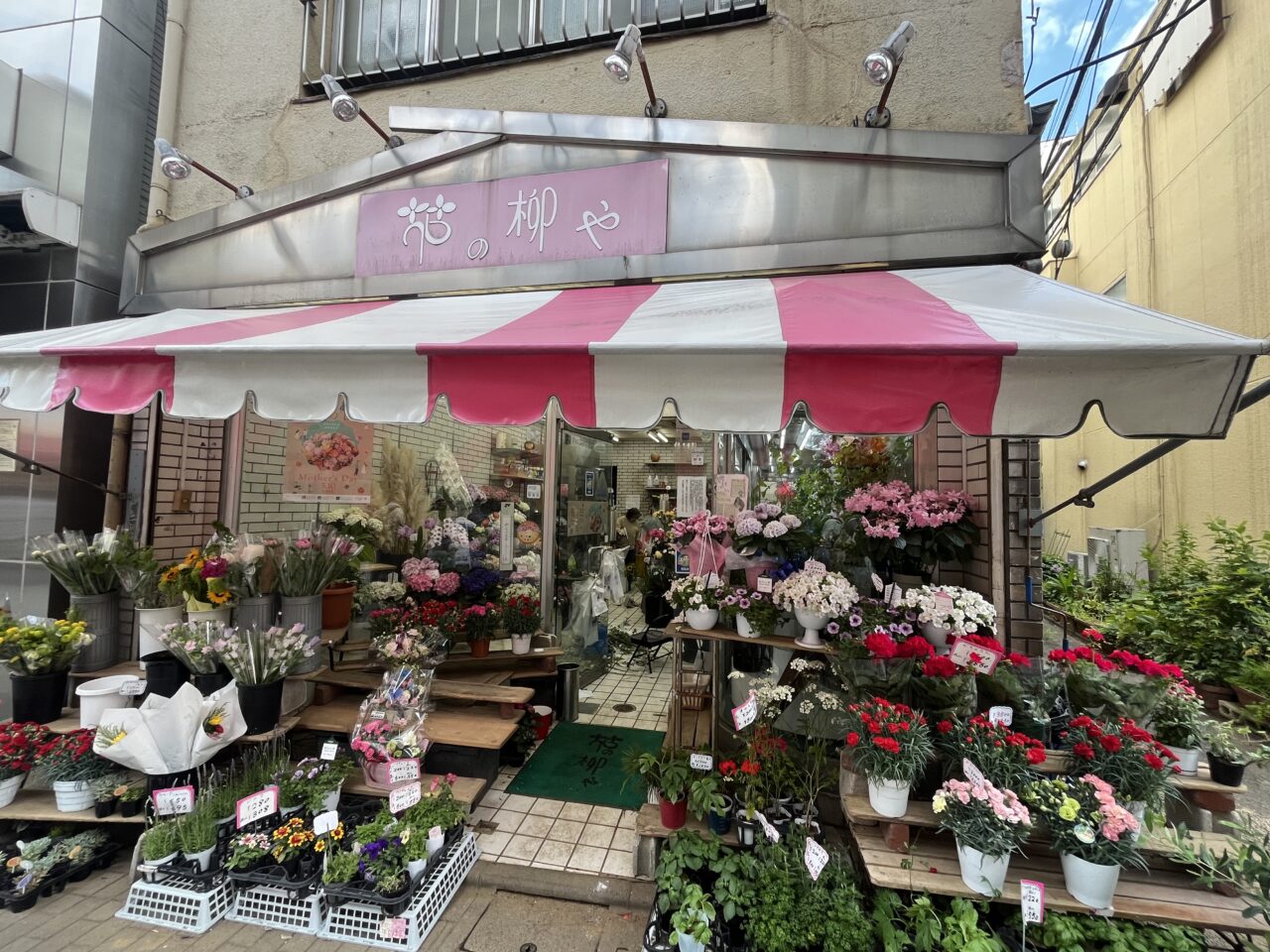 花の柳や