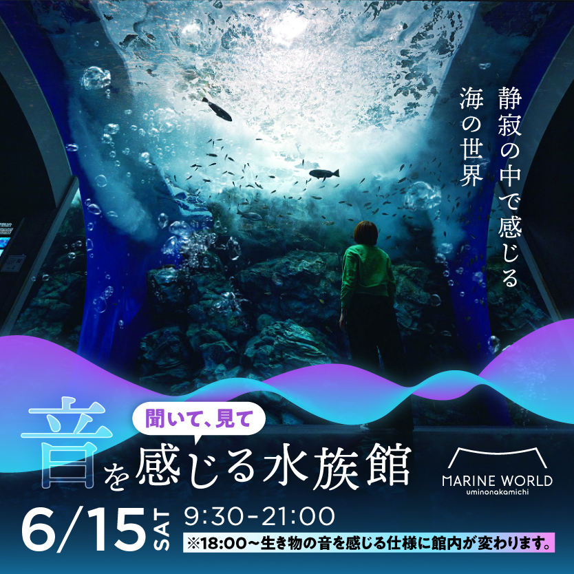 2024年6月15日(土)18:00より、「マリンワールド海の中道」にて「～聞いて、見て～ 音を感じる水族館」が開催予定です。