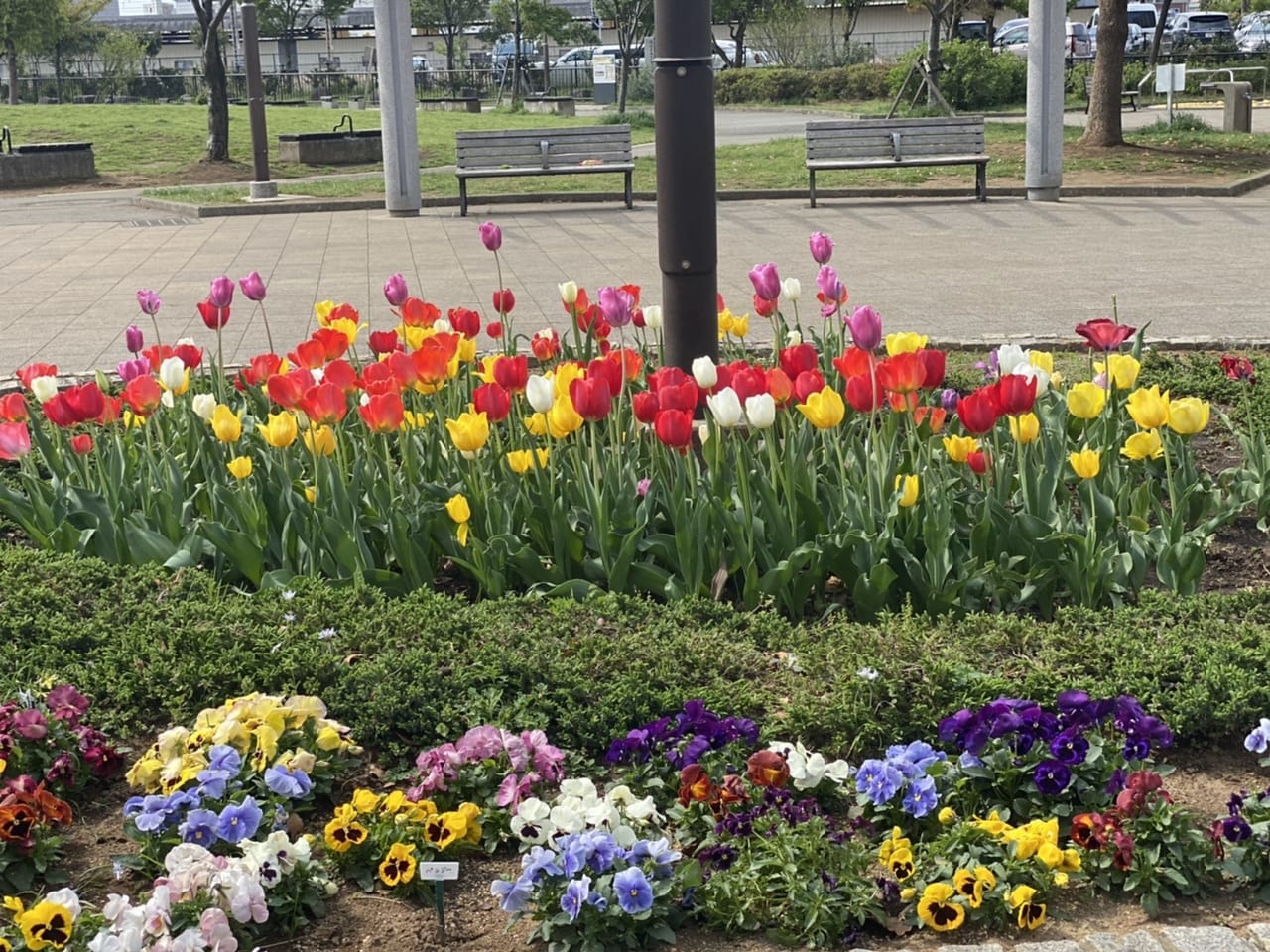 2021年の星野町公園花壇