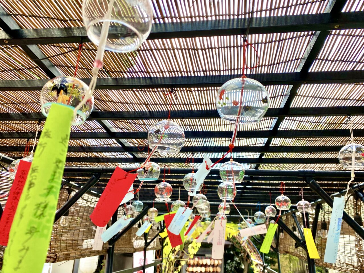 【相模原市中央区】「相模原 氷川神社」の例祭が8/23に開催されます　夏詣の涼やかなスポットも登場