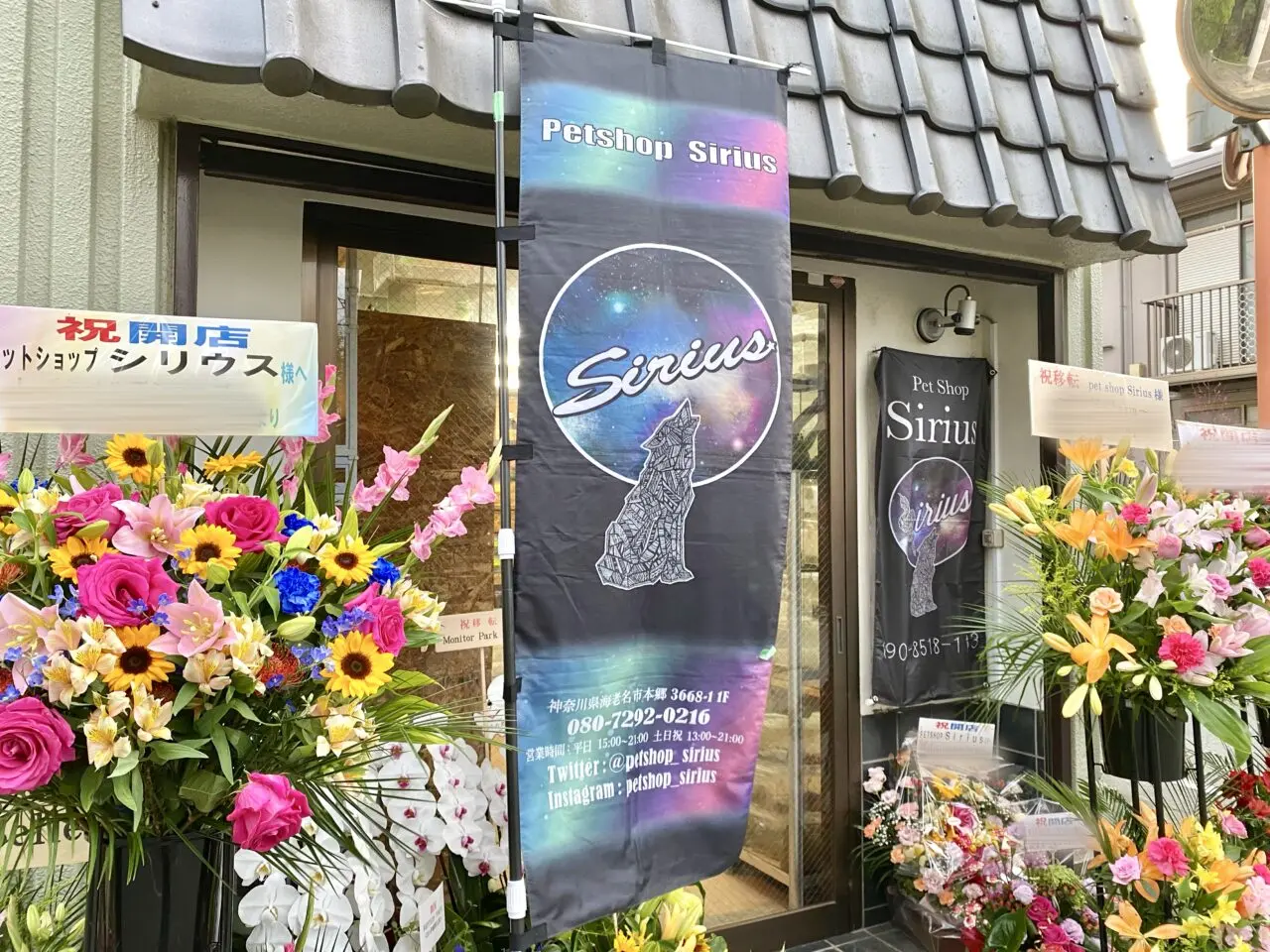 【相模原市中央区】中央5丁目の住宅街に爬虫類専門ペットショップ「Sirius」がオープンしました！9/14までオープニングセールを実施中