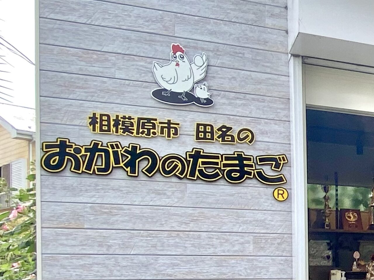 【相模原市中央区】相模原市田名の「おがわのたまご」は今年2025年で創業110周年を迎えました！ 直売所ではこだわりの新鮮卵や絶品スイーツを購入できます
