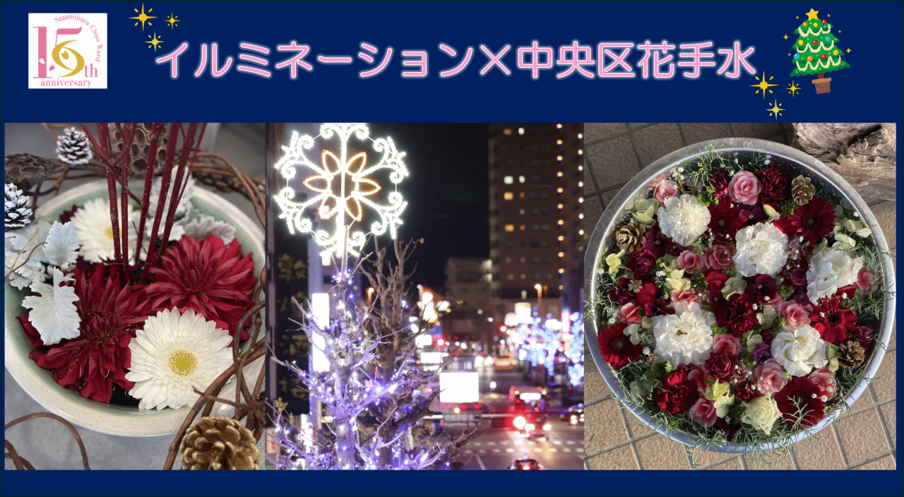 【相模原市中央区】昨年も好評だった「イルミネーション×中央区花手水」が今年も開催決定！イルミネーションとのコラボとして特別仕様の花手水も登場します