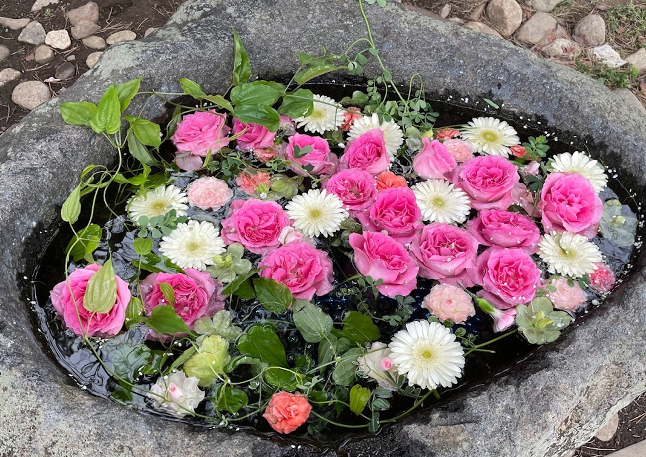 札幌市西区 22年も花手水の季節スタート 発寒神社では入学祝の花手水が 号外net 札幌市西区 手稲区