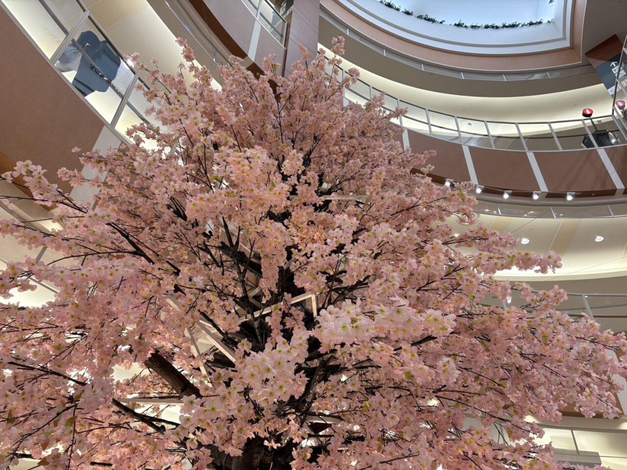 イオンモール札幌発寒