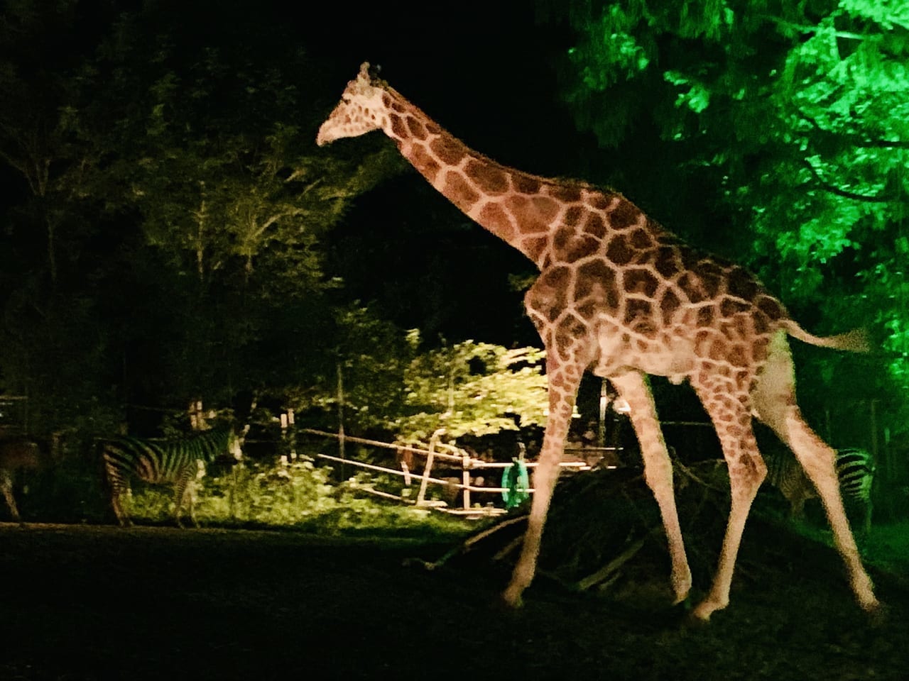 八木山動物公園