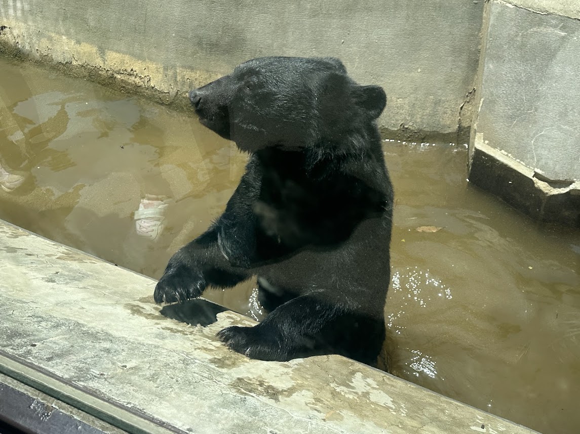 八木山動物公園