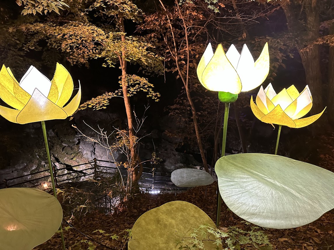 もみじのこみちライトアップ