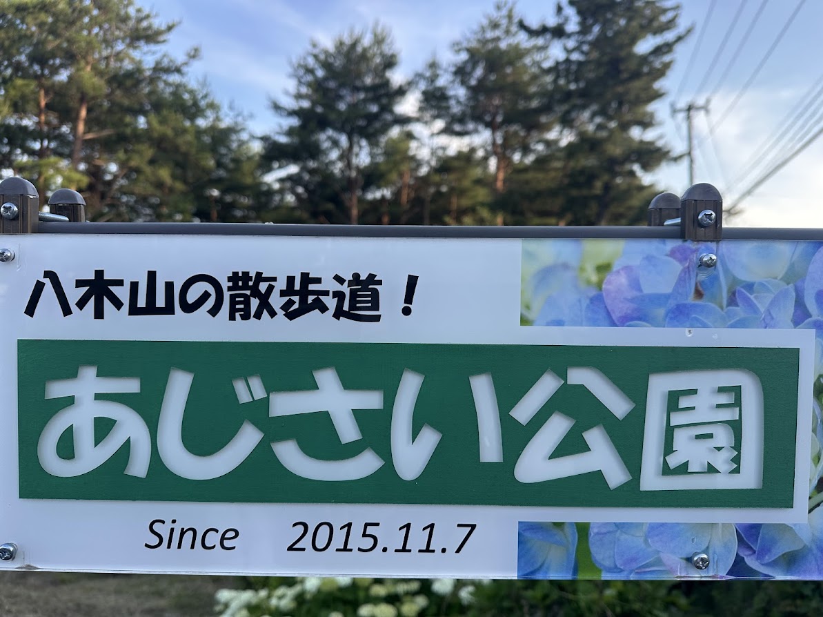 芦ノ口緑地（あじさい公園）