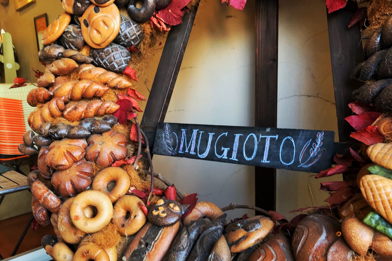 日本一広いベーカリーで洋食歴40年の馬渕シェフの特別限定メニューがいただけるイベント！2025年12月6日（土）限定20名・要予約　十勝　帯広　北海道　麦音　Bakery麦音Parlor　ますやパン　〒080-0831 北海道帯広市稲田南８線１６−４３　#もくフェスとかち実行委員会 薪割り、木工体験やツリーイングなど木に関わる様さまざまな体験ができます。小さなお子さんから、大人まで、みんなで、木とふれあう素敵な休日をすごしてみませんか？ 令和7年5月11日(日) 10:00〜15:00　 今年も帯広市　麦音にて開催！　〒080-0831 北海道帯広市稲田南８線１６−４３ ますやパン麦音　2020満寿屋麦音店内パンリースオブジェ