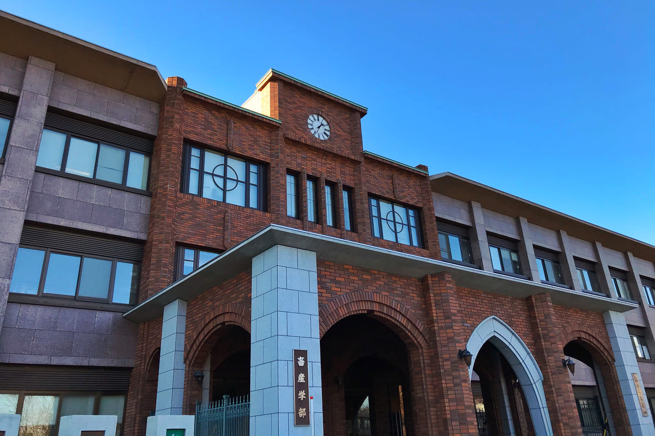 3年に一度開催している新商品開発企画 ますやカップ2026 新商品開発コンテスト 2026年2月11日（水・祝）　①11:00～12:00 ②12:00～13:00 ③13:00～14:00 ④14:00～15:00　4回開催　新商品の試食　　審査　食べられる　パン　ますやパン　帯広畜産大学　アイデア　パン職人　チケット販売中　満寿屋商店全店で販売　チケット価格　500円税込　参加者募集中　帯広畜産大学　かしわプラザ　〒080-0834 北海道帯広市稲田町西２線　延期　2026年2月23日（月・祝）　　2020帯広畜産大学校舎