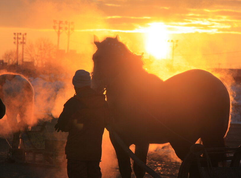 2026年　年末年始　イベント　2026年1月2日（金）～4日（日）迎春イベント　2026年1月2日（金）～4日（日）の3日間　ばん馬で新春　帯広競馬場 迎春イベント　ばんえい十勝　来場者プレゼント　世界唯一のばんえい競馬　帯広