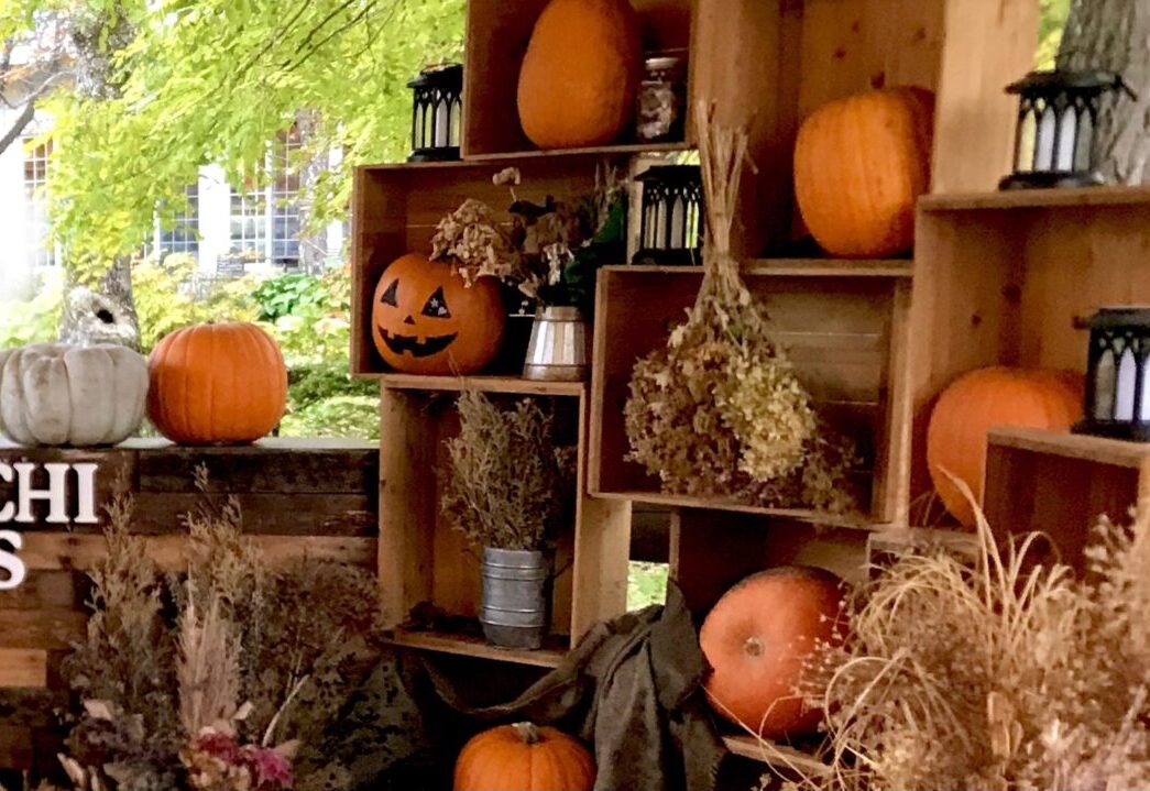 写真映像工房くろかりんとう ハロウィンフォトブース撮影会 帯広カメラマン 帯広写真 プロカメラマン 子ども 家族 ファミリー フォトブース 撮影会 仮装 人気カメラマン 素敵 岡書帯広イーストモール店 帯広市 帯広カメラ 帯広くろかりんとう イメージ 秋のロケーションフォト ファミリーPHOTO 帯広カメラマン 帯広写真 帯広人気カメラマン 動画 発表会 人気 撮影 撮影会 2025年10月18日(土) 10月19日(日) 十勝ヒルズ Halloween ハロウィンキッズ撮影会 帯広カメラマン 帯広写真館 帯広写真スタジオ 観光スポット 人気カメラマン帯広 十勝 幕別町 完全予約制 データ納品 〒089-0574 北海道中川郡幕別町日新13−5
