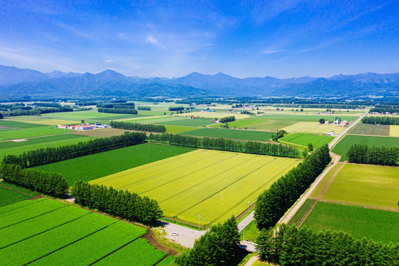 〒082-0003 北海道 河西郡 芽室町 東めむろ 3条北 1丁目 1-5 元ラーメン元藤 跡地 SHEEPPORT シープポート 羊肉 直売所 オープン日 2026年 6月13日 土曜日 生ラム ロース 十勝産 国産 ジンギスカン ラム マトン 牧場 農家 直送 新鮮 数量限定 毎週土曜日 営業時間 10:00 14:00 十勝 帯広 グルメ