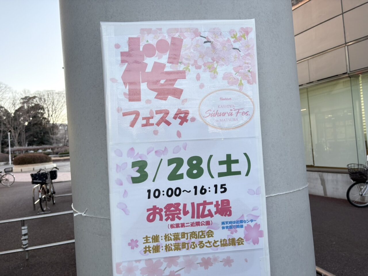 松葉町桜フェスタ in MATSUBA