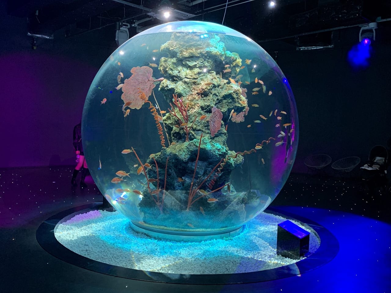 水族館「アトア átoa」