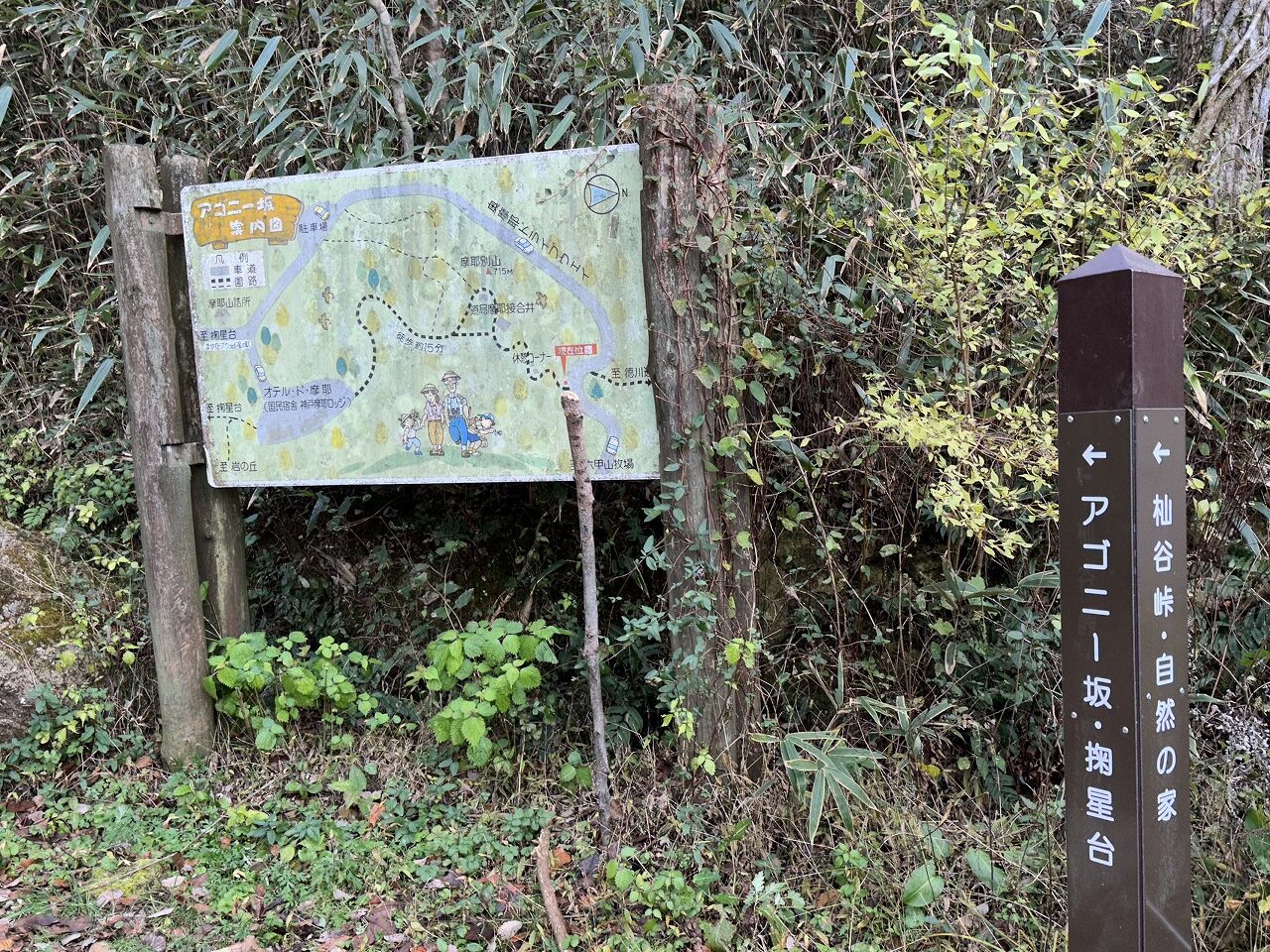 【神戸市灘区】六甲山『摩耶山アゴニー坂』の登山道を整備へ♪ ぜひ、「摩耶別山」の看板もお願いします(≧▽≦)