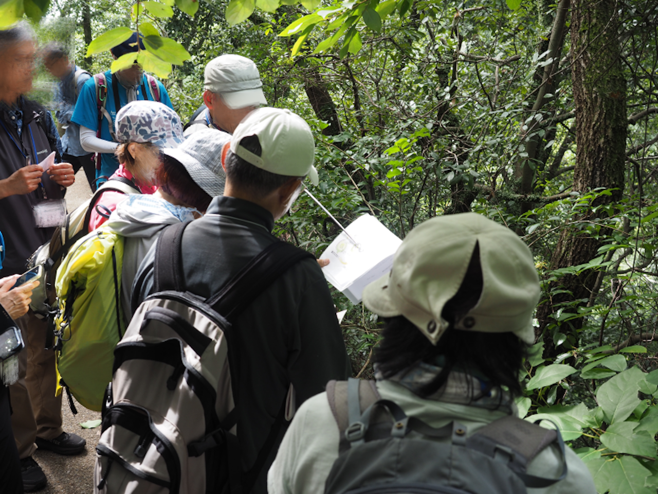 【神戸市灘区】春から始める自然観察ライフ！2026年4月開講「六甲山の自然観察入門講座＜全9回＞募集開始♪