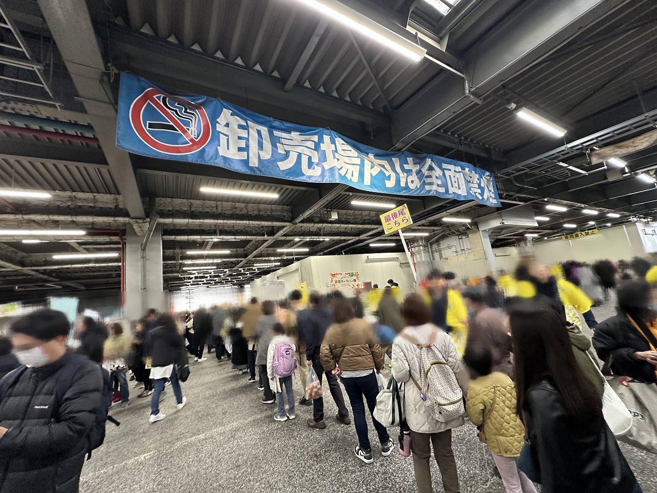 【神戸市東灘区】神戸市中央卸売市場 東部市場（深江浜）11月22日（土）フェスタ開催♪ お買い得商品満載(≧▽≦)