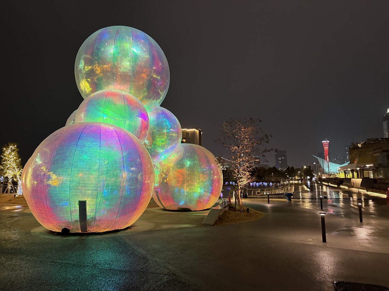 【神戸市中央区】TOTTEI KOBEで幻想の春夜景♪ 日本初上陸の水辺アートKOBE BUBBLUMI 2026と“光の桜”を見てきました！