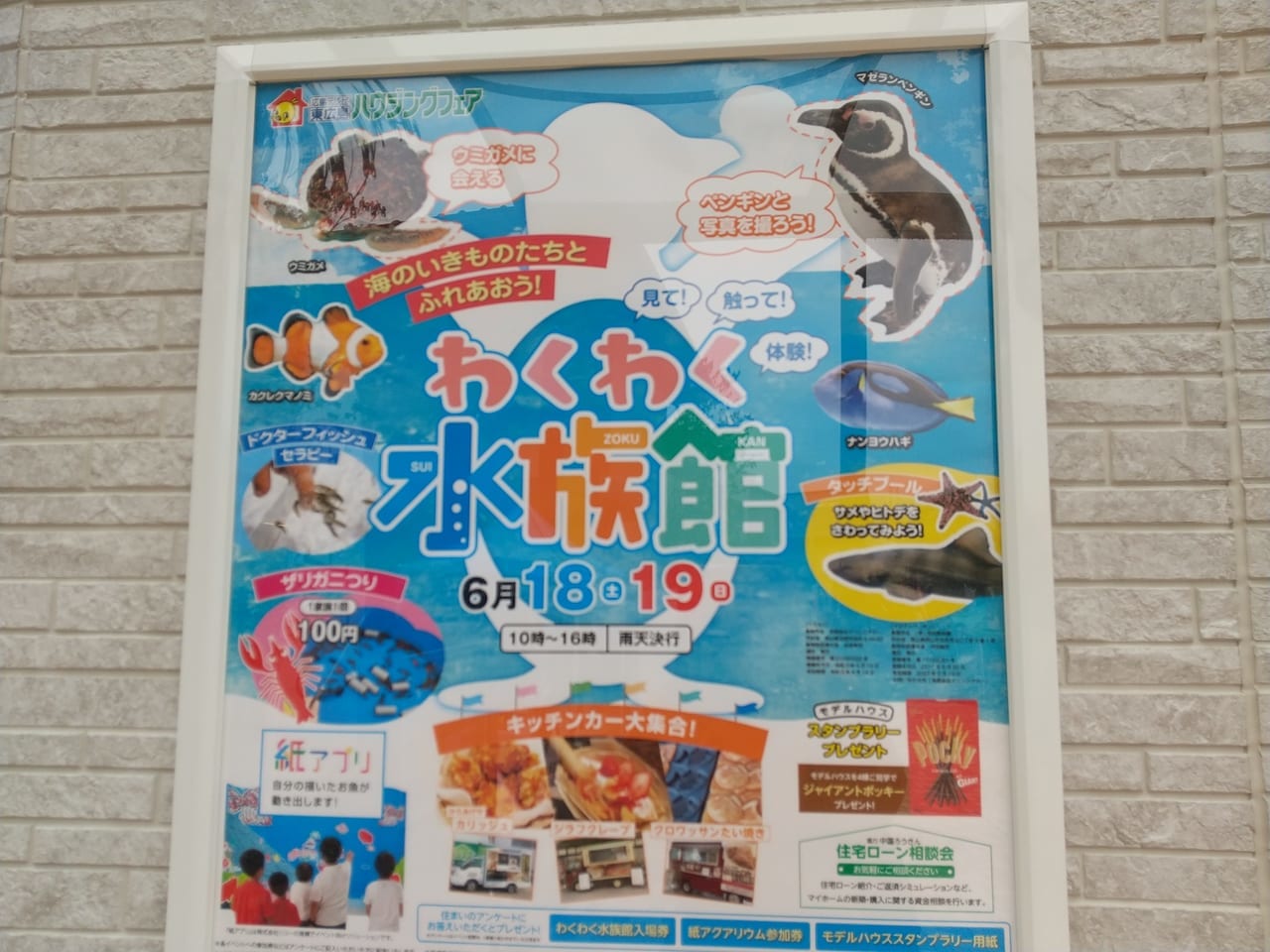 東広島ハウジングフェア「わくわく水族館」