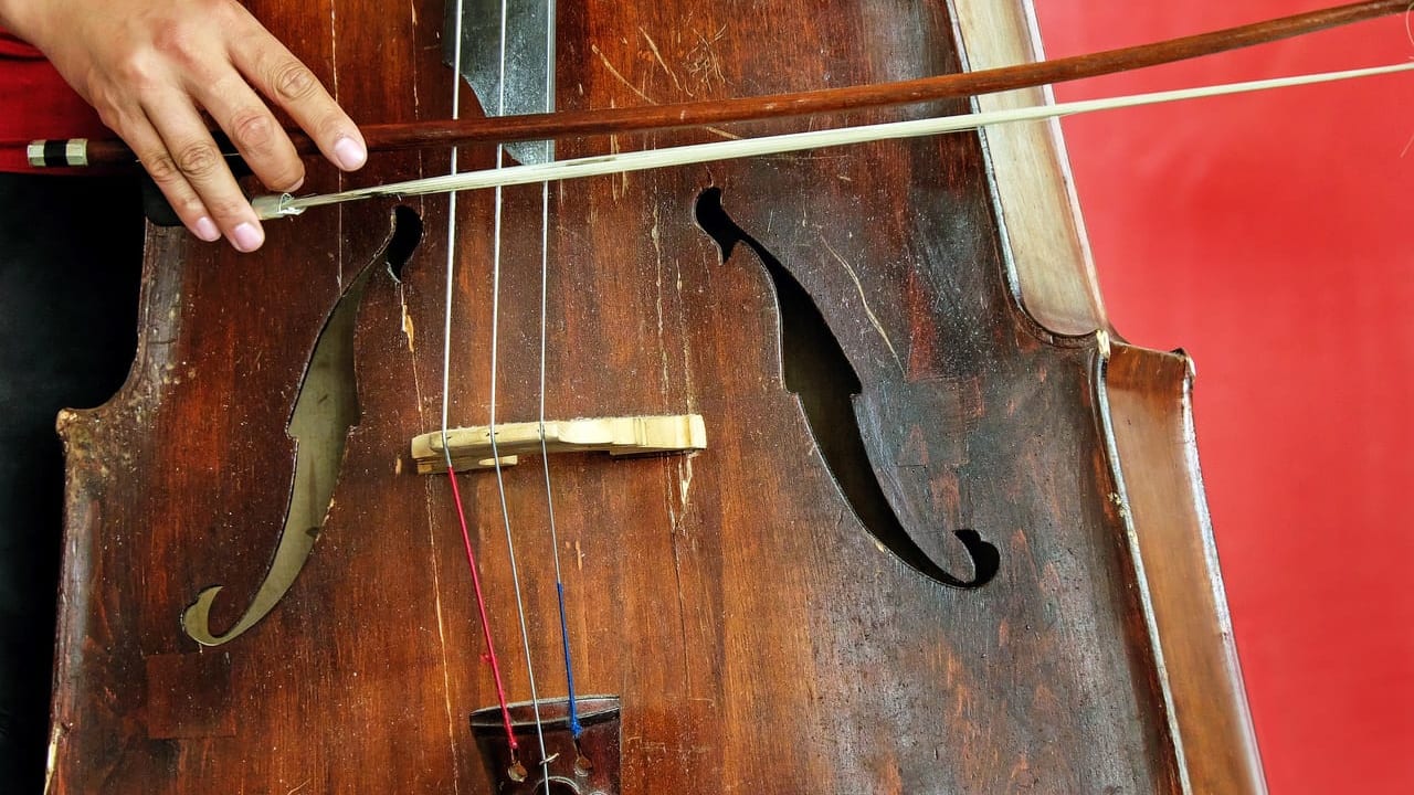 チェリスト宮田大