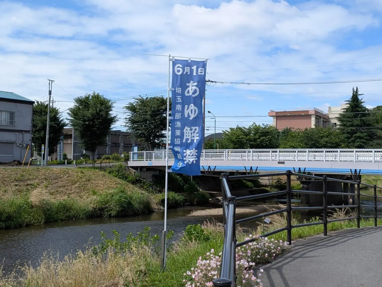 2025年6月1日に黒目川にたっていた鮎解禁ののぼり