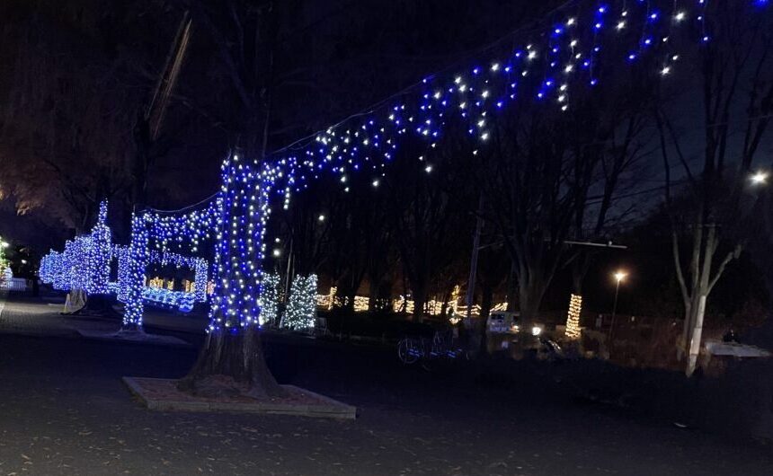 朝霞市総合体育館付近のシンボルロードのイルミネーション