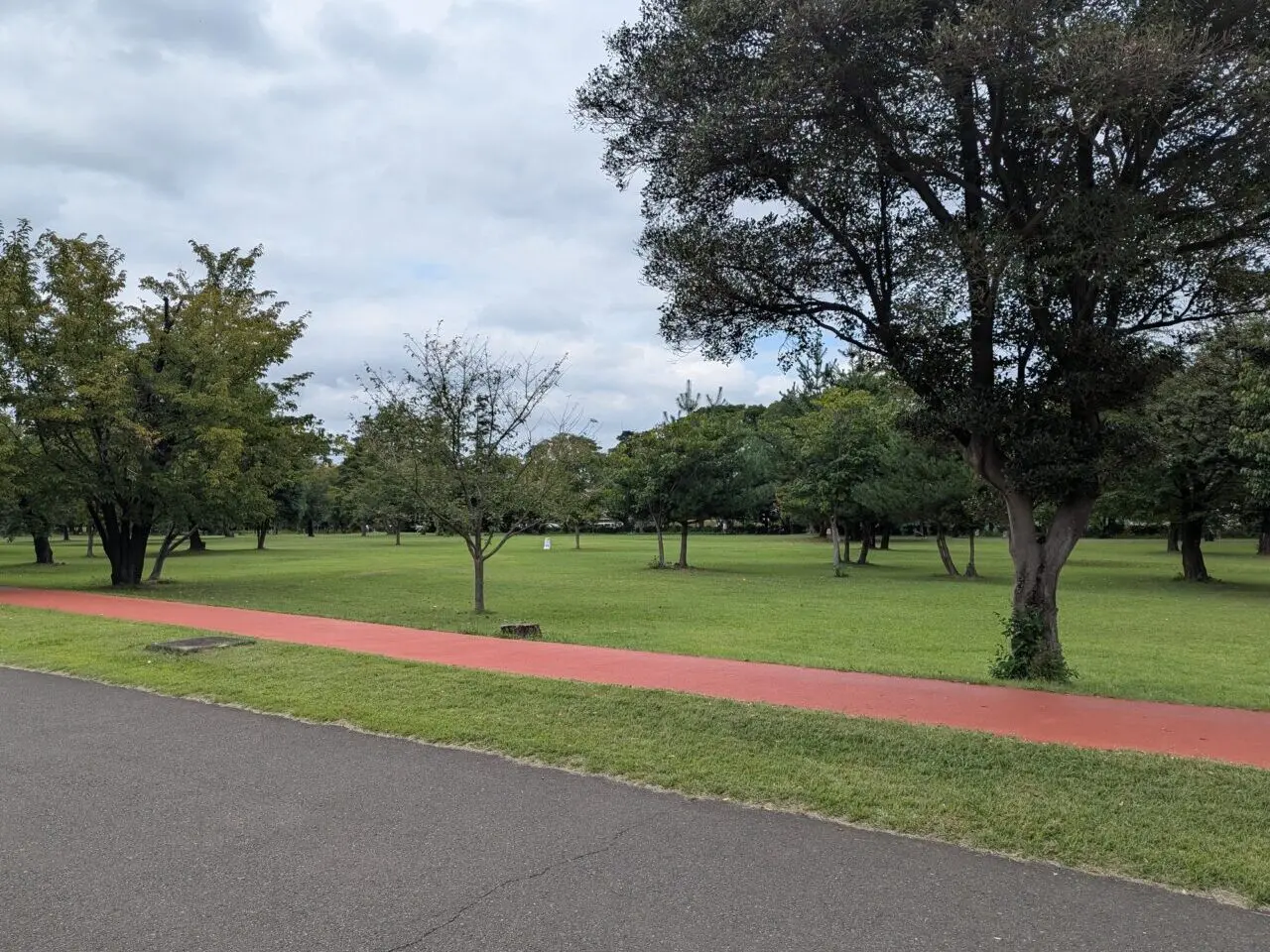 和光市広沢にある埼玉県営和光樹林公園内