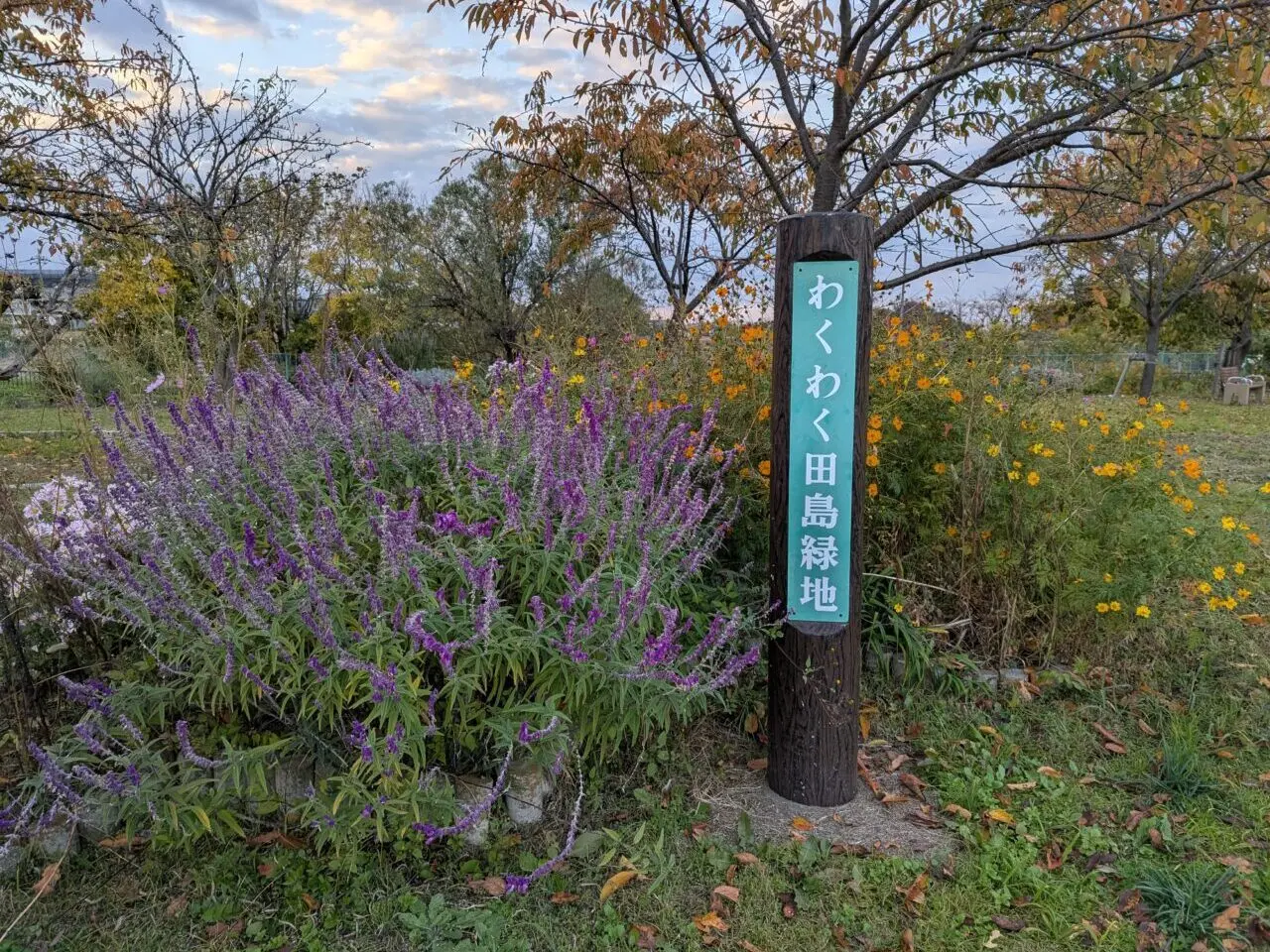 朝霞市にあるわくわく田島緑地