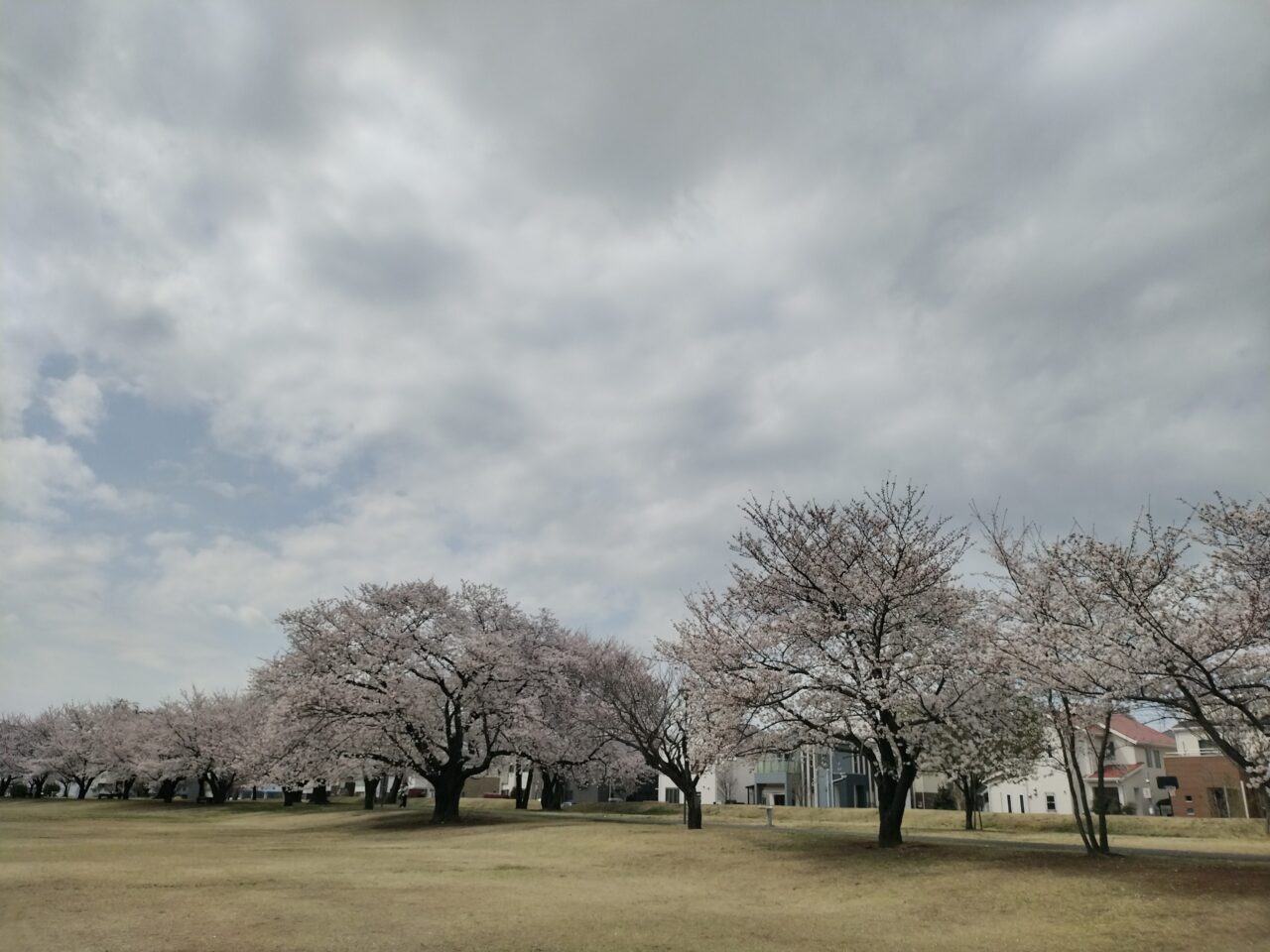 2025年4月学園の杜公園