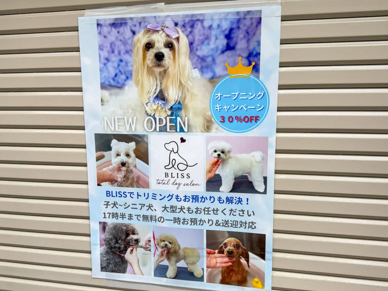 犬の総合施設BLISS total dog salon