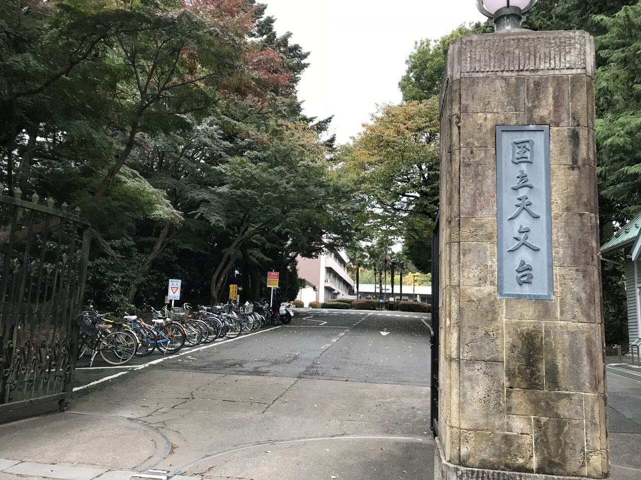 国立天文台