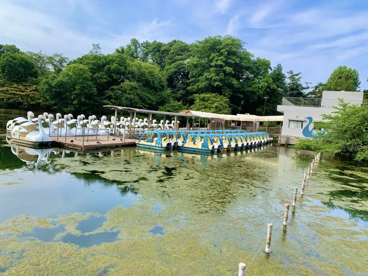 井の頭恩賜公園