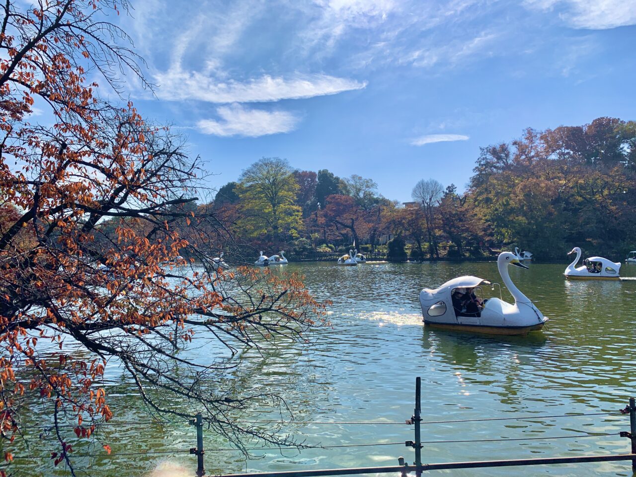 井の頭恩賜公園