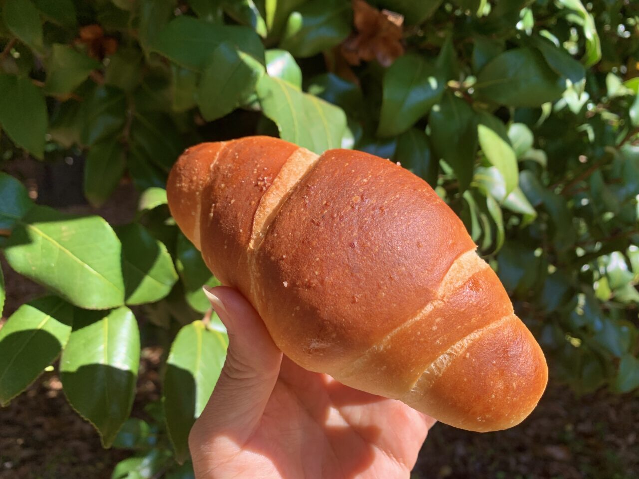 トーホーベーカリー