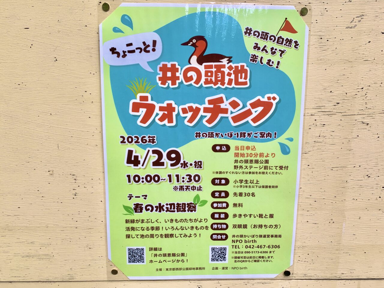 かいぼり