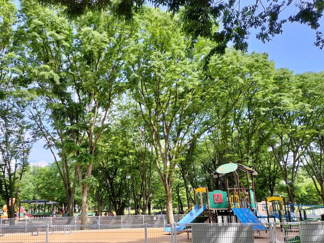 府中の森公園の遊具広場