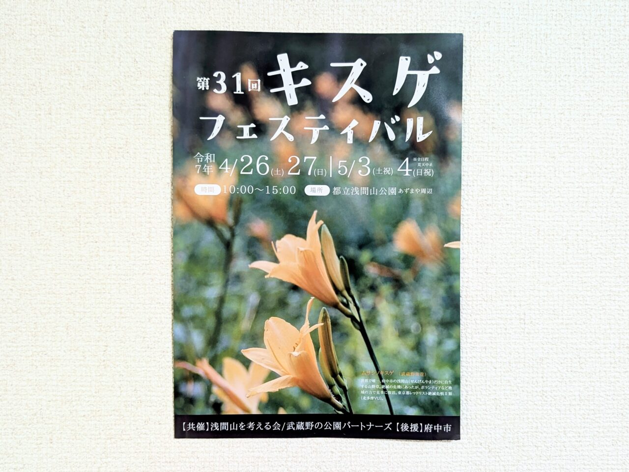 キスゲフェスティバル2025