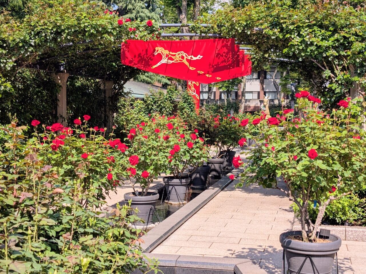 Rosegarden02