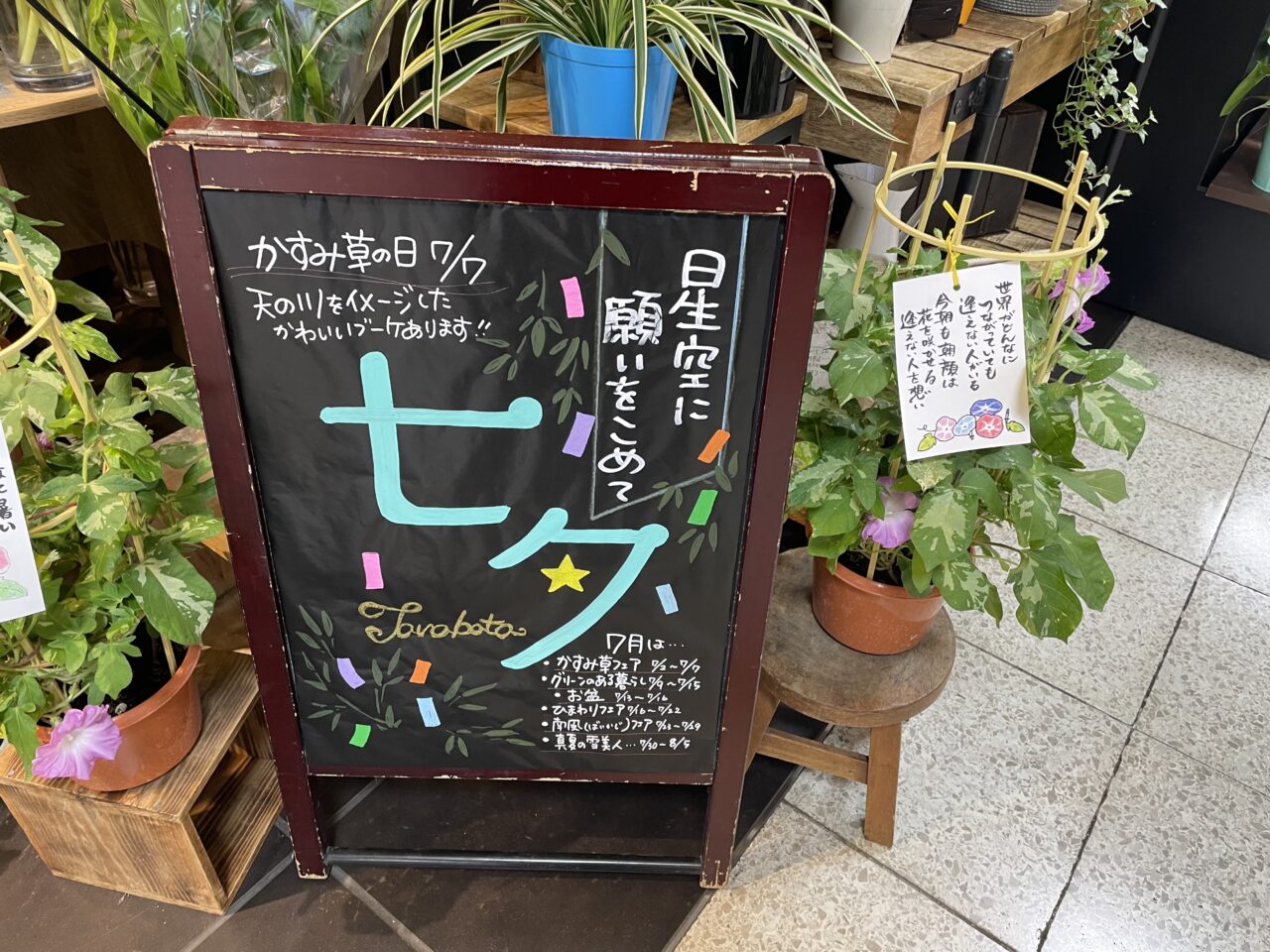 2026.7七夕