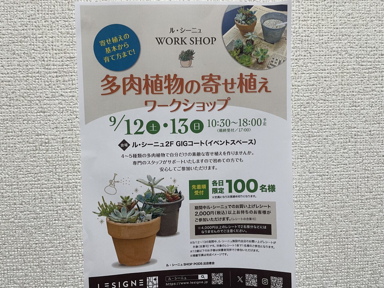 2026.8植物