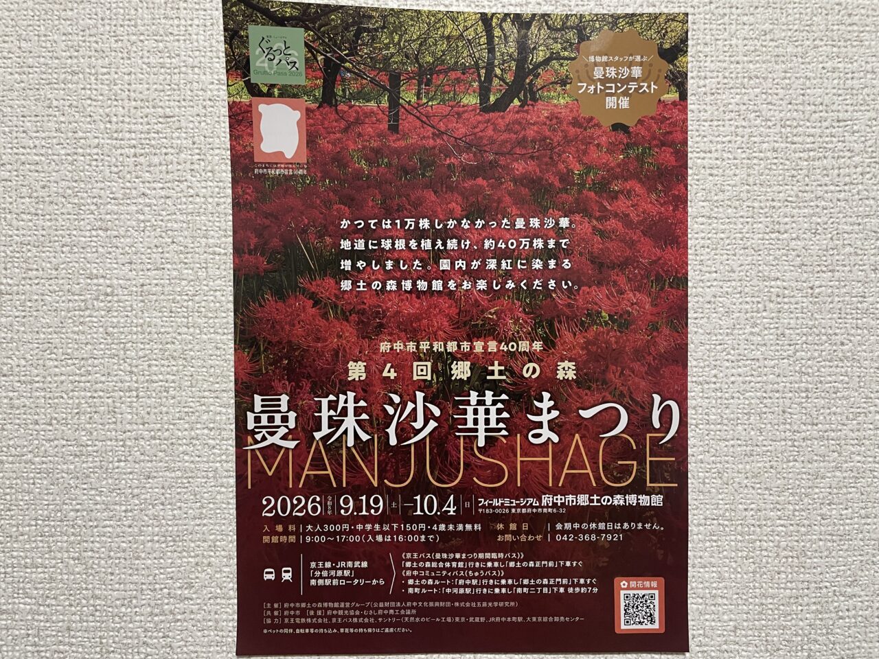 2026.9曼珠沙華
