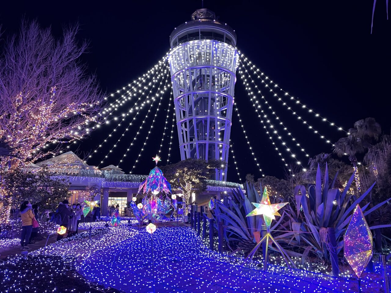 湘南の宝石2025-2026