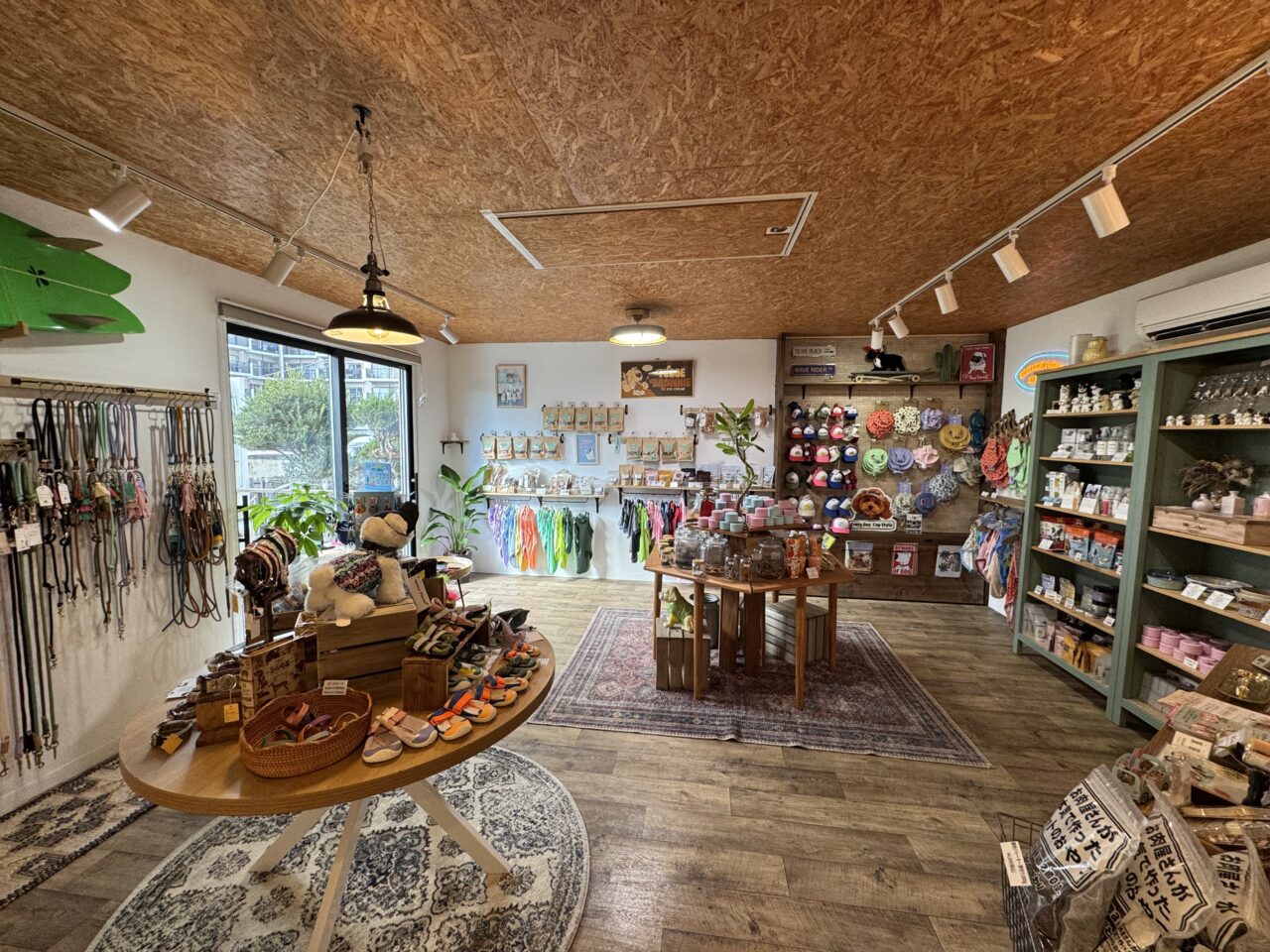 【藤沢市】鵠沼海岸に話題のドッグセレクトショップ「SEA SIDE PAWS SHONAN」が2月7日にオープンしました！ 犬と楽しめる湘南ライフの新スポット♪